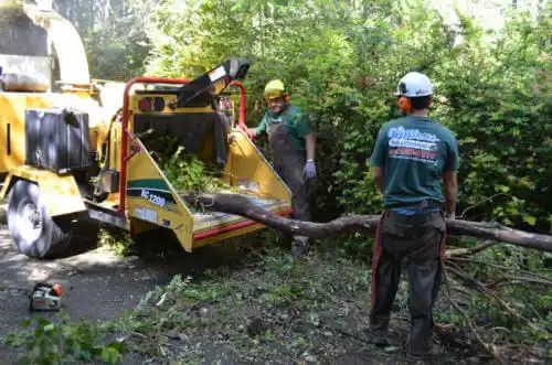 tree services Hailey